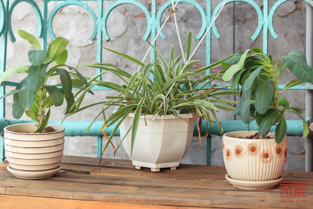Harmony Homestay - Hanoi Homestay In Old Quarter Εξωτερικό φωτογραφία